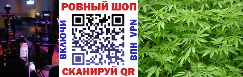 Купить наркотик Жирновск Гашиш  КЕТАМИН  Меф  Каннабис  Кокаин 