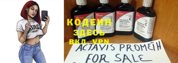 хмурый Вяземский
