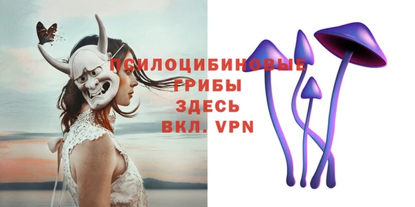 хмурый Вяземский