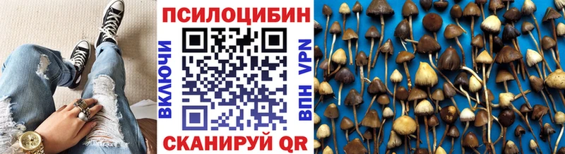 Псилоцибиновые грибы мухоморы  где можно купить наркотик  Жирновск 