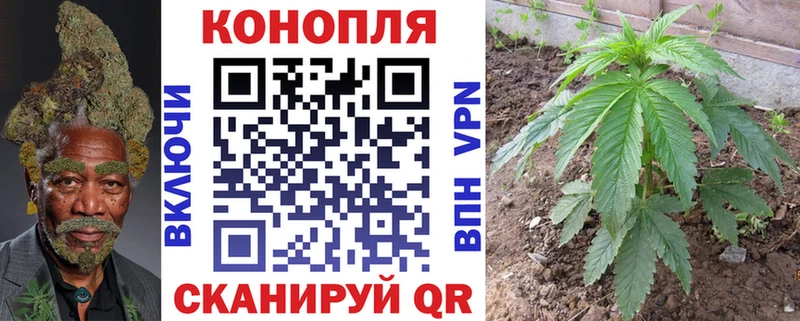 МАРИХУАНА Ganja  купить наркоту  OMG   Жирновск 